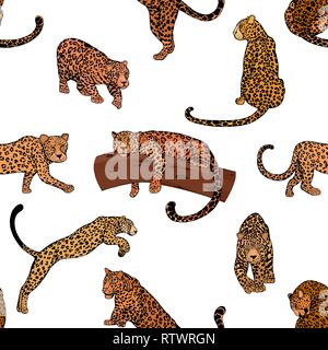 Nahtlose Muster von Hand gezeichnete Skizze stil Leoparden auf weißem Hintergrund. Vector Illustration. Stock Vektor