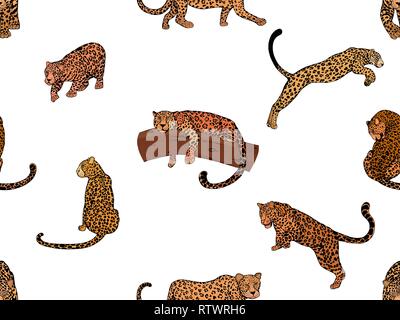 Nahtlose Muster von Hand gezeichnete Skizze stil Leoparden auf weißem Hintergrund. Vector Illustration. Stock Vektor