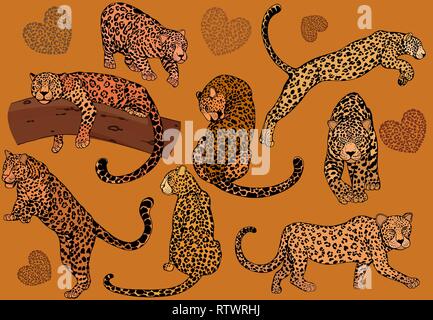 Satz von Hand gezeichnete Skizze stil Leoparden. Vector Illustration. Stock Vektor
