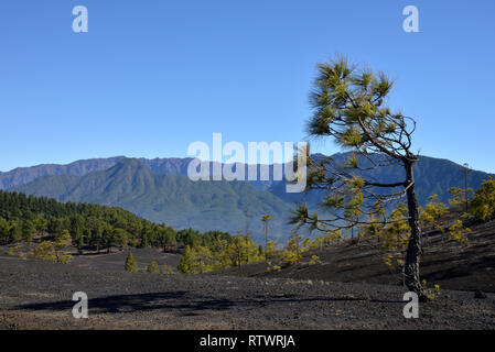 Vulkanische Landschaft in der Nähe von Pico Birigoyo Caldera de Taburiente in den Hintergrund, die Cumbre Vieja, La Palma, Kanarische Inseln, Spanien Stockfoto