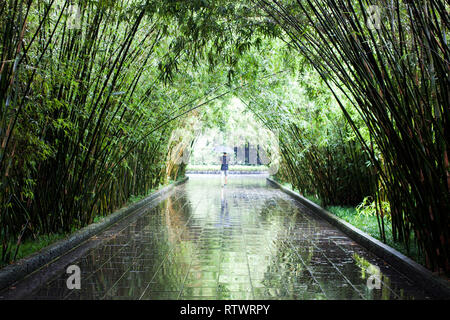 Ein Bambus Tunnel in einem Park an einem regnerischen Tag. Eine Person zu Fuß durch den Bambus Tunnel mit einem Regenschirm. Stockfoto