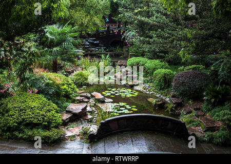 Steinbrücken in einem Chinesischen Garten. Traditionelle Gartengestaltung mit Stein Brücke über einen kleinen Teich mit lotusblättern Innen. Umgeben von Bäumen und Flo Stockfoto