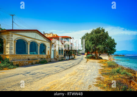 Steiniger Weg zusammen mit dem Meer mit croocked pinetrees und Goldglänzenden Gras in der Morgensonne. Stockfoto