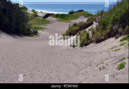 Trail in Sigatoka Sand Dunes National Park, Viti Levu, Fidschi Stockfoto