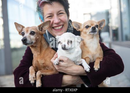 Lachende Frau, die Ihre drei Hunde halten in ihren Armen, Zwergpinscher und Chihuahuas, Deutschland Stockfoto