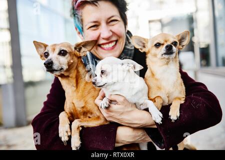 Lachende Frau, die Ihre drei Hunde halten in ihren Armen, Zwergpinscher und Chihuahuas, Deutschland Stockfoto