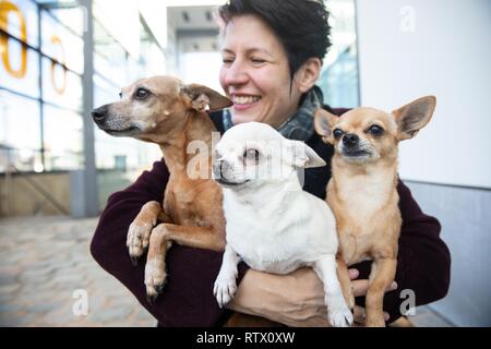 Lachende Frau, die Ihre drei Hunde halten in ihren Armen, Zwergpinscher und Chihuahuas, Deutschland Stockfoto