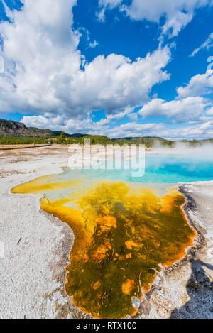 Hot Spring, Türkis Saphir Pool mit gelben mineralische Ablagerungen, schwarzen Sand und Biscuit Basin, Yellowstone National Park Stockfoto