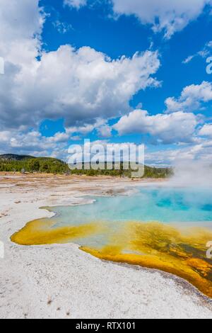 Hot Spring, Türkis Saphir Pool mit gelben mineralische Ablagerungen, schwarzen Sand und Biscuit Basin, Yellowstone National Park Stockfoto