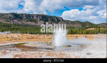 Ausbruch der Juwel Geysir, schwarzer Sand Basin und Biscuit Basin, Yellowstone National Park, Wyoming, USA Stockfoto