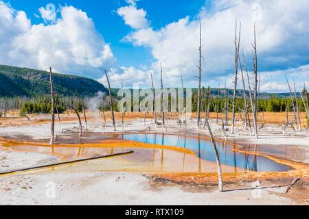 Tote Bäume in Opalisierenden Pool mit mineralischen Ablagerungen, schwarzer Sand Basin, Yellowstone National Park, Wyoming, USA Stockfoto