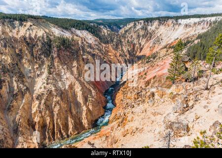 Yellowstone River fließt durch die Schlucht, dem Grand Canyon im Yellowstone und Grand View, Yellowstone National Park, Wyoming, USA Stockfoto