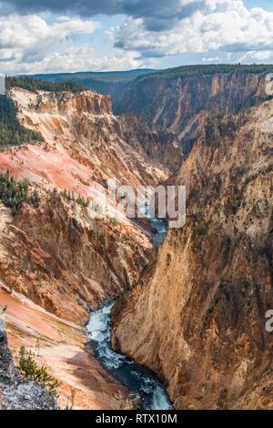 River Yellowstone River fließt durch Canyon, Grand Canyon, Yellowstone, Grand View, Yellowstone National Park, Wyoming Stockfoto