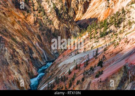 River Yellowstone River fließt durch Canyon, Grand Canyon, Yellowstone, Grand View, Yellowstone National Park, Wyoming Stockfoto
