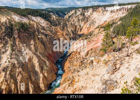 Yellowstone River fließt durch die Schlucht, dem Grand Canyon im Yellowstone und Grand View, Yellowstone National Park, Wyoming, USA Stockfoto