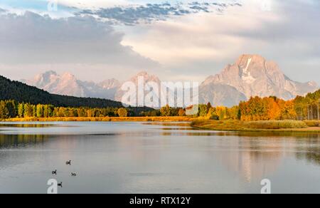 Mount Moran reflektiert in der Snake River, morgen stimmung bei Oxbow Bend, Bäume im Herbst und Grand Teton Bergkette, Grand Teton National Park Stockfoto