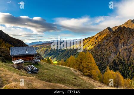 Berghütte über Tal mit herbstlichen Wald Berg Lärche (Larix decidua), Vals, Valstal, Südtirol, Italien Stockfoto