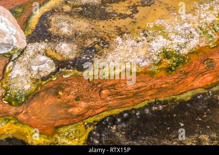 Algen, Bakterien und Sinter, Ablagerungen auf einem Geysir, geysirfeld El Tatio, Región de Antofagasta, Chile Stockfoto