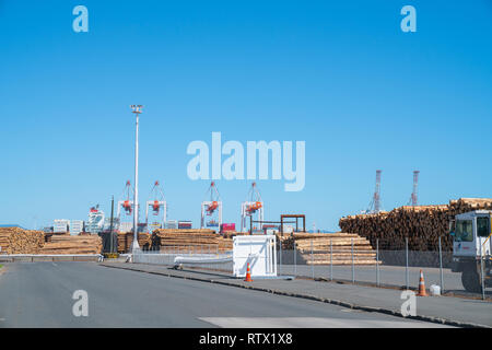 TAURANGA NEUSEELAND - 3. MÄRZ 2019; Log Außenlager in der Hafenanlage wharf Krane im Hintergrund Stockfoto