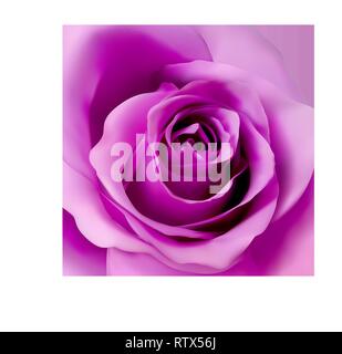 Quadratische Hintergrund mit violetten realistische Rose. 3d-rose bud Vector Illustration. Stock Vektor