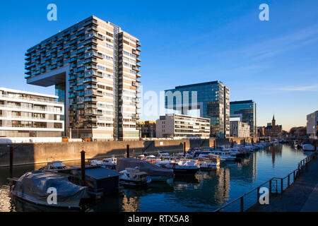 Der Kran Häuser am Rheinauer Hafen, im Hintergrund der alten Häfen Meister Büro, Köln, Deutschland sterben Kranhaeuser im Rheinauhafen, im Hi Stockfoto