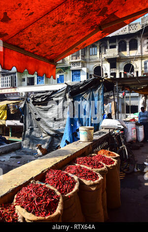 Säcke mit roten Chilis, khari Baoli, belebten Indischen Großhandel Spice Market, Old Delhi, Indien Stockfoto