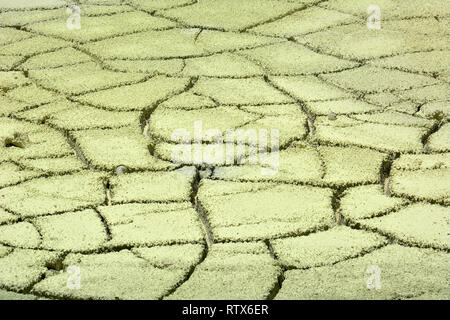 Kawah Putih ist eine natürliche Schwefel reichen vulkanischen See in West Java, Indonesien. Stockfoto