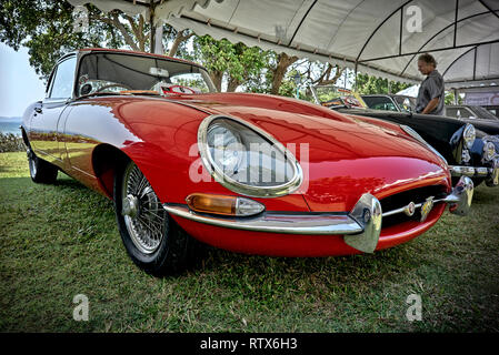 Jaguar E-Type 1968 4.2 Classic Car rot. Stockfoto