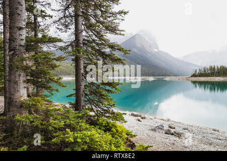 Upper Kananaskis Lake, Alberta, Kanada - Blick von der wald Stockfoto