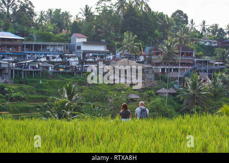 BALI, Indonesien, 17. Mai 2017; Erde Treppe in Reisfeldern. Terrasse Reisfelder in Tegallalang, Ubud auf Bali Stockfoto