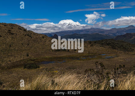 Feuchtgebiete des Cayambe-Coca finden Stockfoto