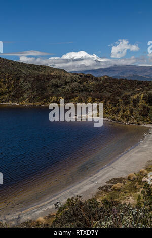 Lagunen und Sumpfgebiete der Cayambe-Coca finden und die antisana Vulkan im Hintergrund Stockfoto