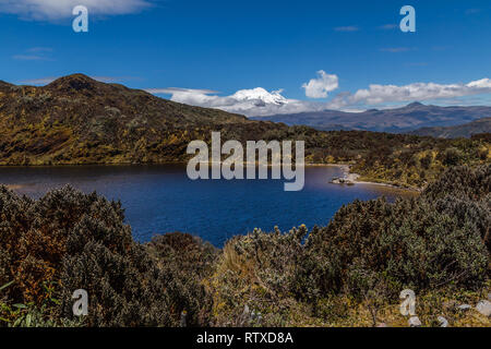 Lagunen und Sumpfgebiete der Cayambe-Coca finden und die antisana Vulkan im Hintergrund Stockfoto