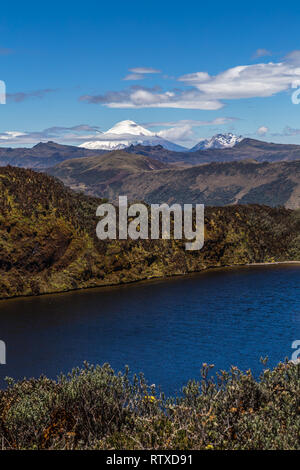 Lagunen und Sumpfgebiete der Cayambe-Coca finden und den Vulkan Cotopaxi im Hintergrund Stockfoto