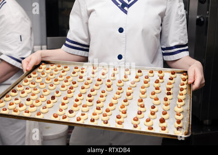 Сloseup Konditor in Uniform im Restaurant professionelle Küche hält Backblech mit kleinen runden sand Cookies mit Haselnuss, auf Backpapier. Con Stockfoto