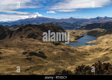 Lagunen und Sumpfgebiete der Cayambe-Coca finden und die antisana Vulkan im Hintergrund Stockfoto