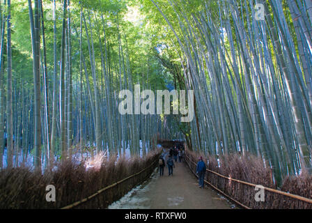 Einen Pfad mit Bamboo Grove in der arashiyama Stadtteil von Kyoto in Japan. Stockfoto