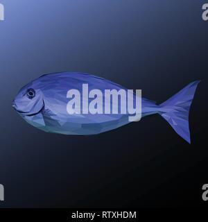 Blue Fish tier Low-poly-Design. Dreieck Vector Illustration. Stock Vektor
