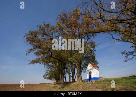 Schöne bunte Herbst Landschaft mit weißen kleinen Kapelle St. Barbara in wellige Felder. Südmähren. Der Tschechischen Republik Stockfoto