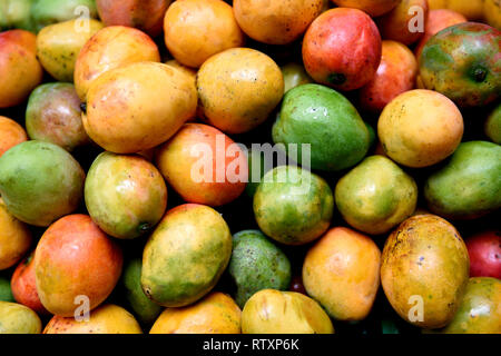 Kolumbianische Mangofrüchte, frisch geerntete reife bunte Mangos auf einem Bauernmarkt in Kolumbien, Südamerika Stockfoto