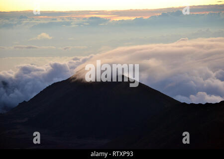 Wolken über einem Berg Rand auf dem Gipfel des Haleakala Vulkan bei Sonnenaufgang, Maui, Hawaii, USA Stockfoto