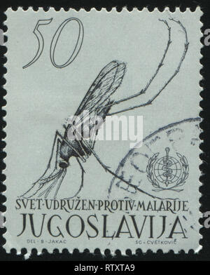 Russland KALININGRAD, 12. NOVEMBER 2016: Briefmarke von Jugoslawien gedruckt, zeigt die Anopheles-mücke, ca. 1962 Stockfoto