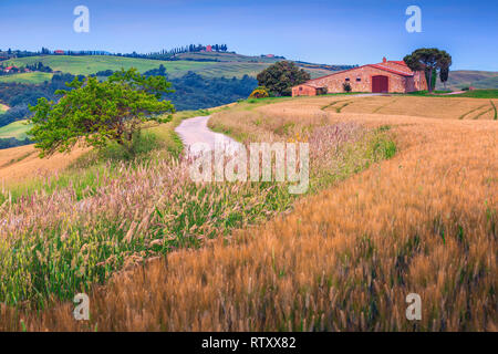 Super Sommer Toskana Landschaft mit Korn Felder, Hügel und Bauernhaus aus Stein, Italien, Europa Stockfoto