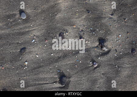 Kleine Kunststoffteile und microplastics in den sand Strand von Famara, Lanzarote, Spanien. Stockfoto