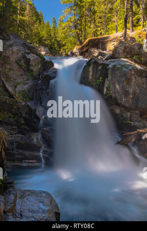 Die Ohanapecosh River Kaskaden Silber fällt am Mount Rainier National Park, Langzeitbelichtung aus dem Wasser zu glätten Stockfoto