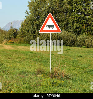 Rotes Dreieck Warnung Kühe überqueren, auf der grünen Wiese, Baum im Hintergrund. Stockfoto