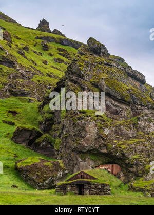 Schaf stehend auf einem Tierheim in Island Stockfoto