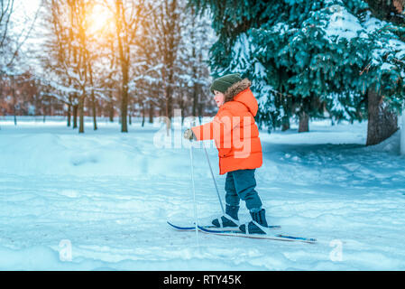 Ein kleiner Junge 4-6 Jahre in eine rote Jacke auf Skiern für Kinder. Im Winter, im Stadtpark, die ersten Schritte auf den Skiern, der Beginn von sportlichen Aktivitäten Stockfoto