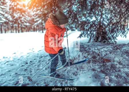 Ein kleiner Junge, 4-6 Jahre alt, Spaziergänge in Ski für Kinder unter dem Weihnachtsbaum, im Winter im City Park. Erste Schritte von Kindern im Sport. In roter Jacke Stockfoto