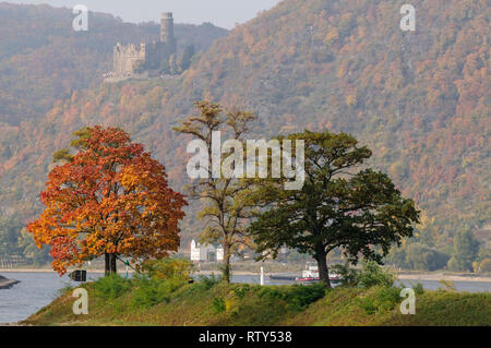 Burg Maus und der Rhein bei St. Goarshausen, Rheinland-Pfalz, Deutschland Stockfoto